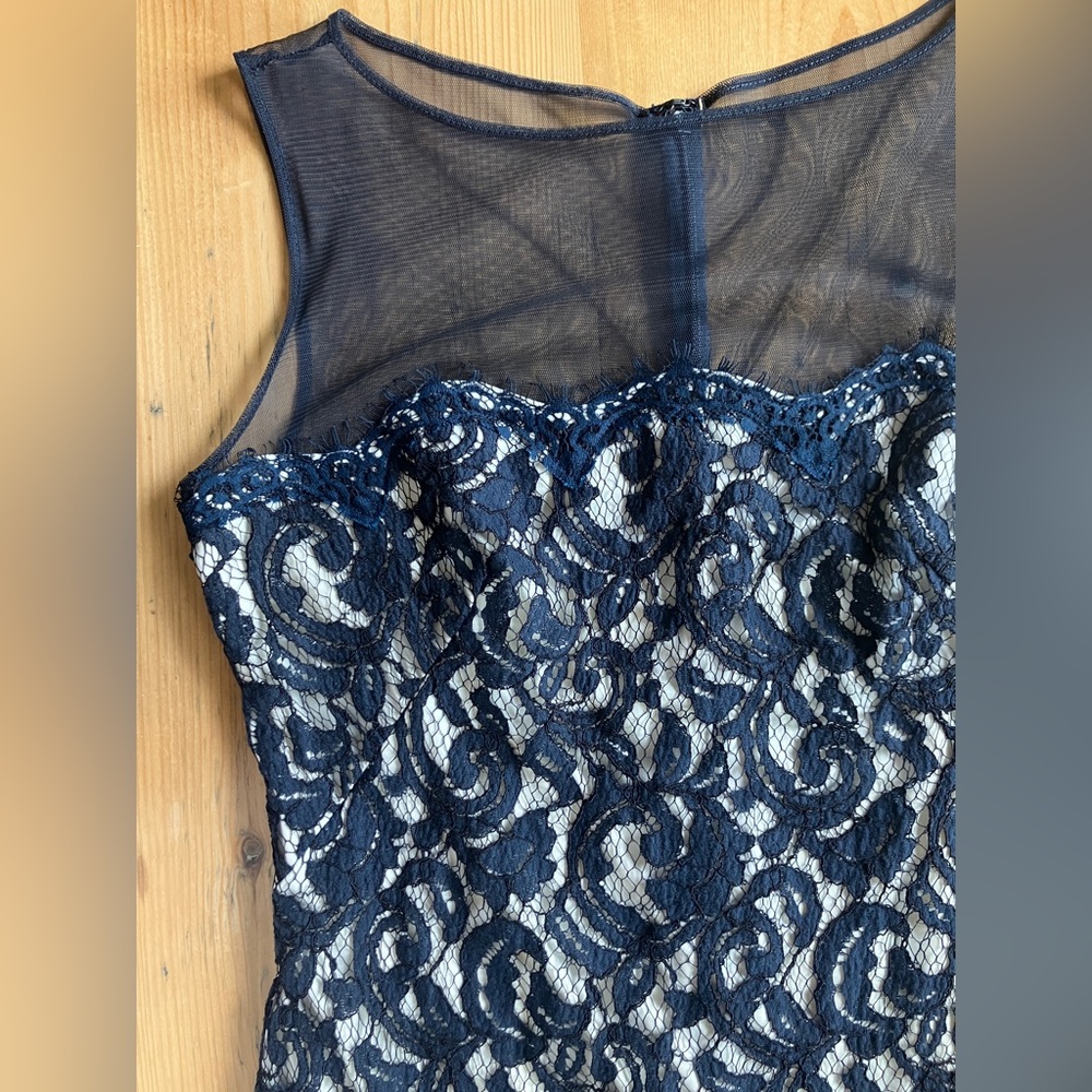 Vintage Tadashi Shoji Formal Mesh Illusion Neckline Sleeveless Blue Lace Dress 4 - Picture 4 of 15